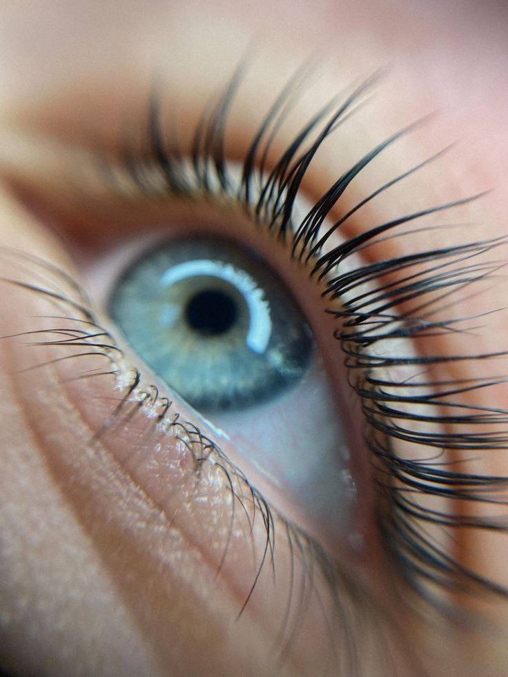 Bild der Kategorie Wimpern